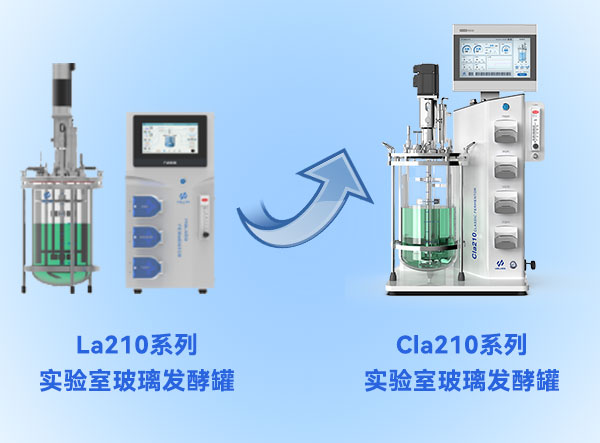 草莓视频官方正版草莓AVAPP升級