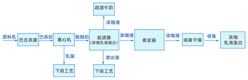 牛乳生產流程圖